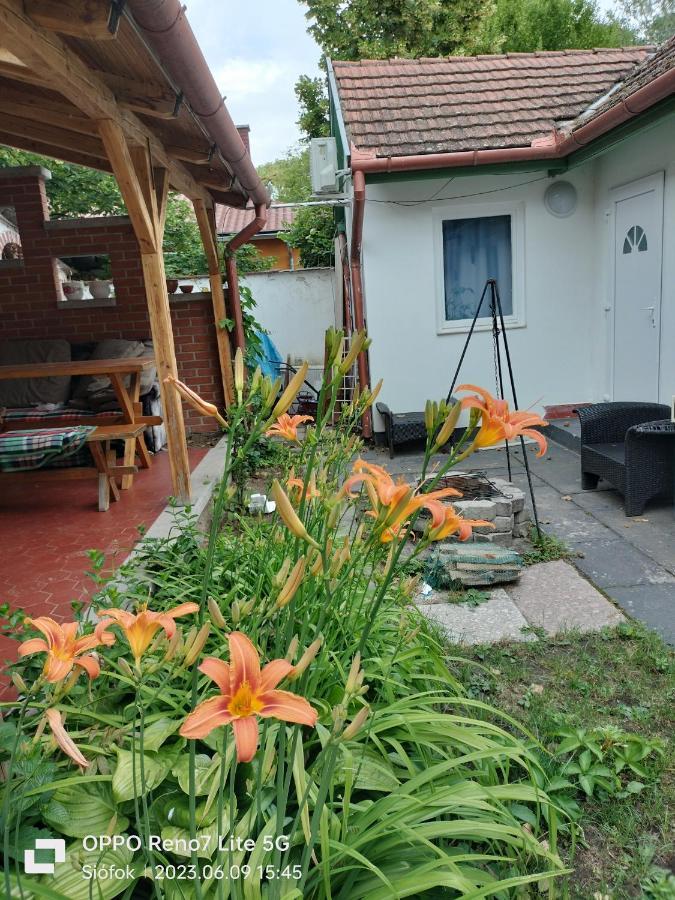 Balassa House ชิโอฟก ภายนอก รูปภาพ